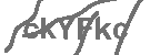 CAPTCHA Image