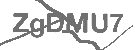 CAPTCHA Image