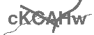 CAPTCHA Image