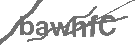 CAPTCHA Image