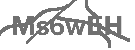 CAPTCHA Image