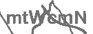 CAPTCHA Image