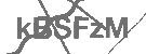 CAPTCHA Image