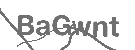 CAPTCHA Image