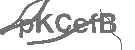 CAPTCHA Image