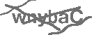 CAPTCHA Image