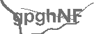 CAPTCHA Image