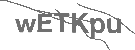 CAPTCHA Image