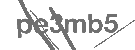 CAPTCHA Image