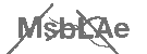 CAPTCHA Image