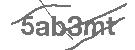 CAPTCHA Image