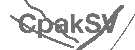 CAPTCHA Image