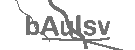 CAPTCHA Image