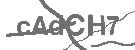 CAPTCHA Image