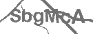 CAPTCHA Image
