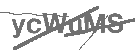 CAPTCHA Image