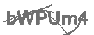 CAPTCHA Image