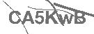 CAPTCHA Image