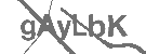 CAPTCHA Image