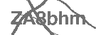 CAPTCHA Image