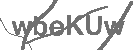 CAPTCHA Image
