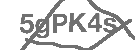 CAPTCHA Image