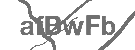 CAPTCHA Image