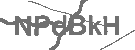 CAPTCHA Image