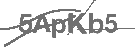 CAPTCHA Image