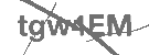 CAPTCHA Image
