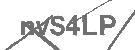 CAPTCHA Image