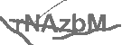 CAPTCHA Image