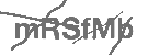 CAPTCHA Image