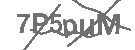 CAPTCHA Image